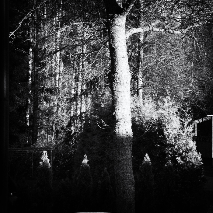 Есть что-то недоброе в мужчинах,