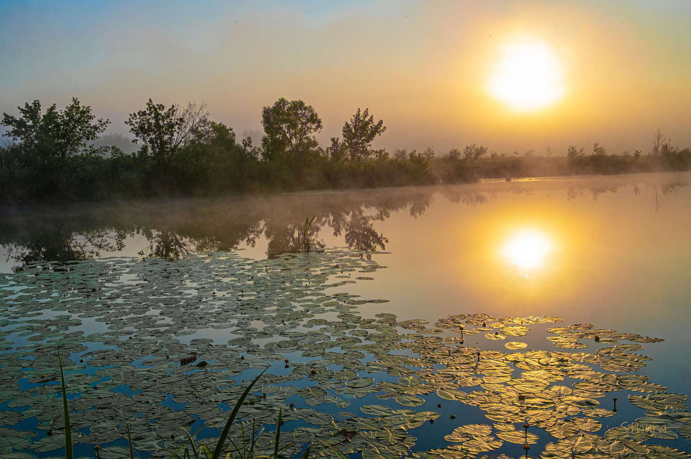 Летом на рассвете.