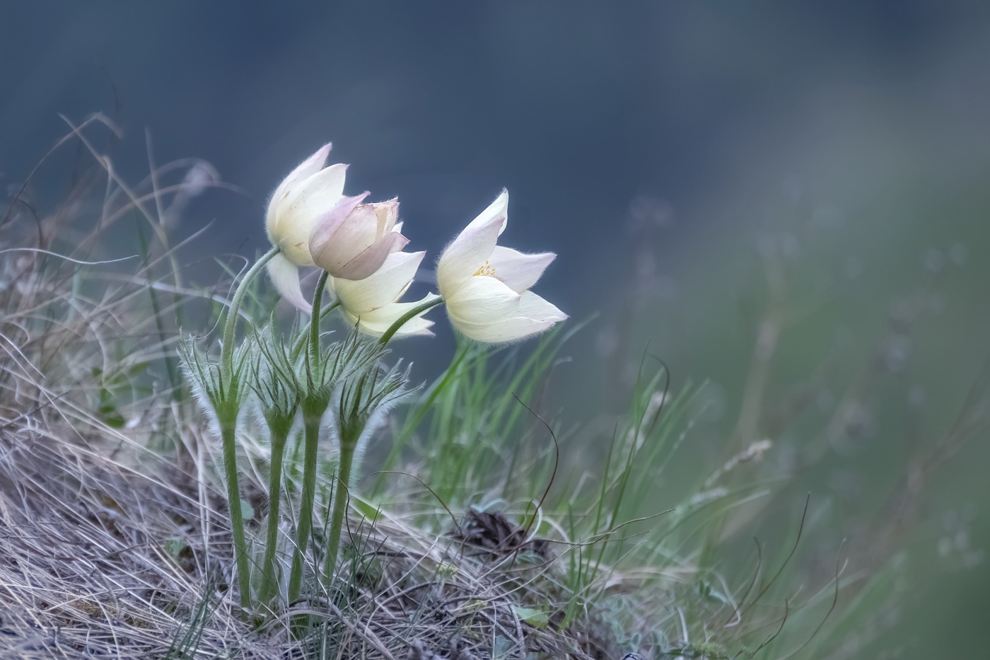 На краю скалы