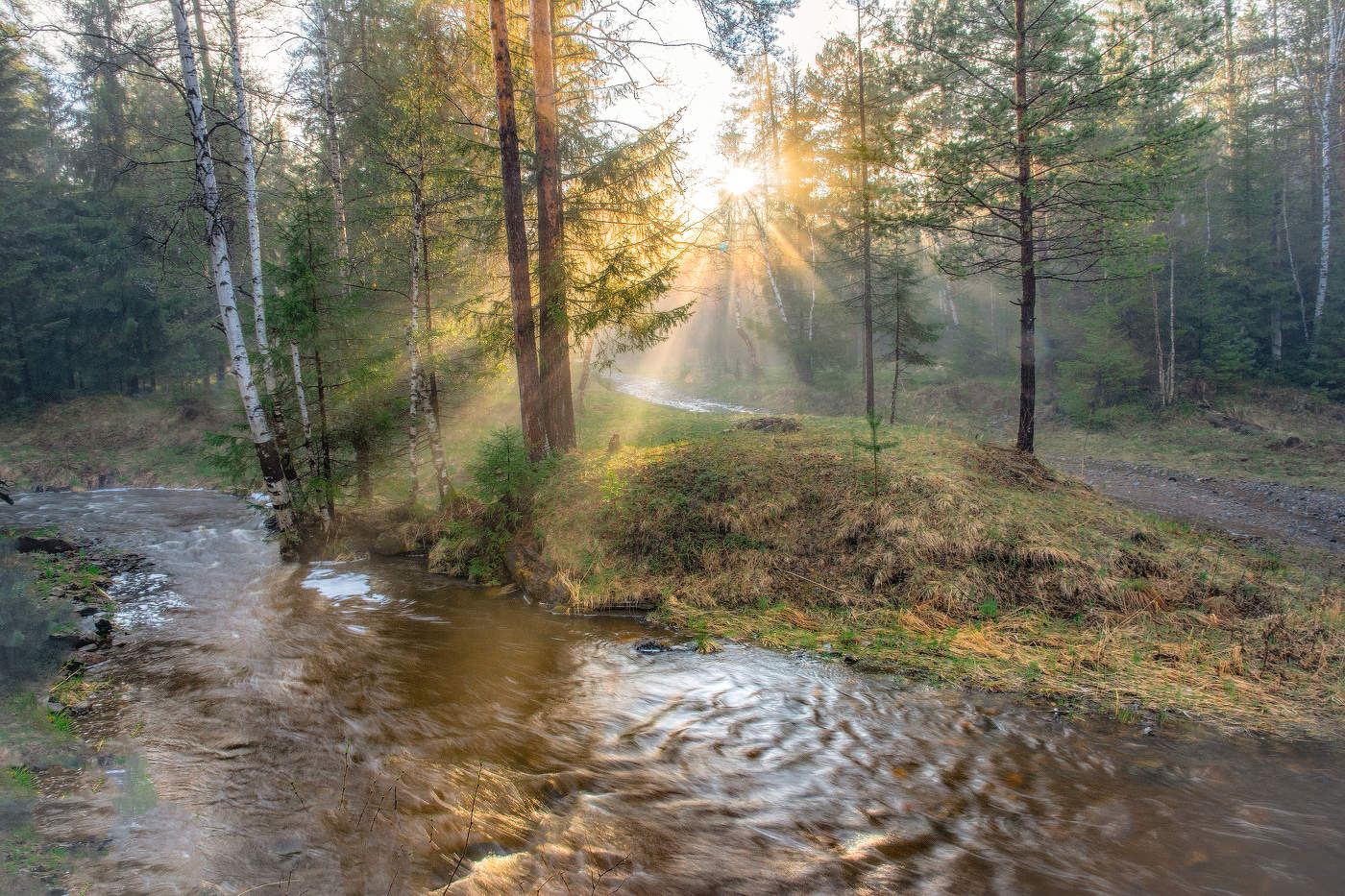 Вечерние лучи