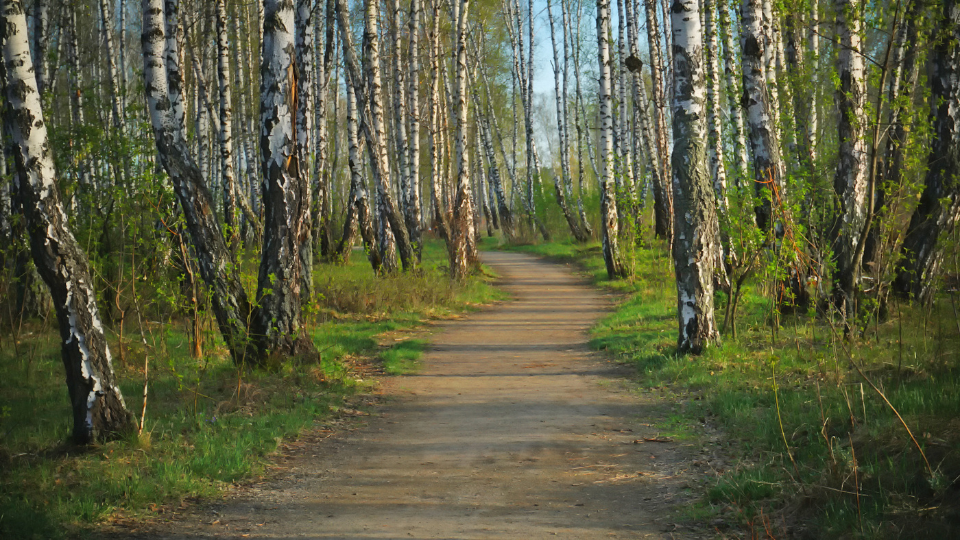 По весенней по дорожке