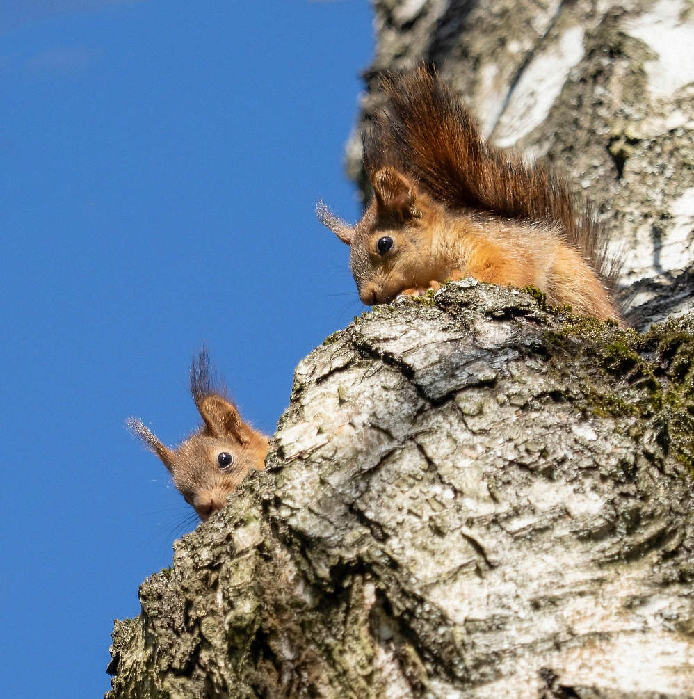 Эй, вы там наверху ...