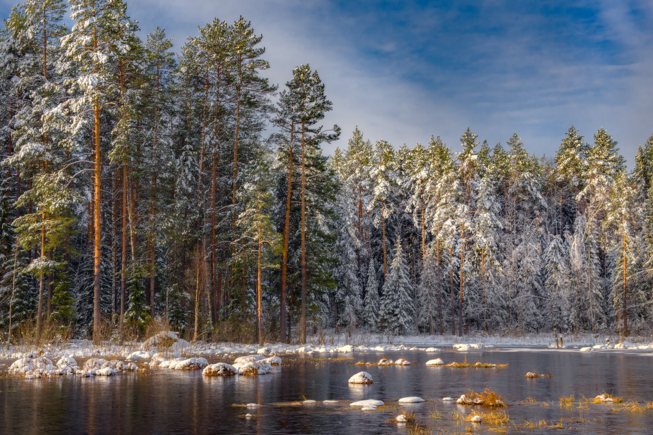 Утро после снегопада