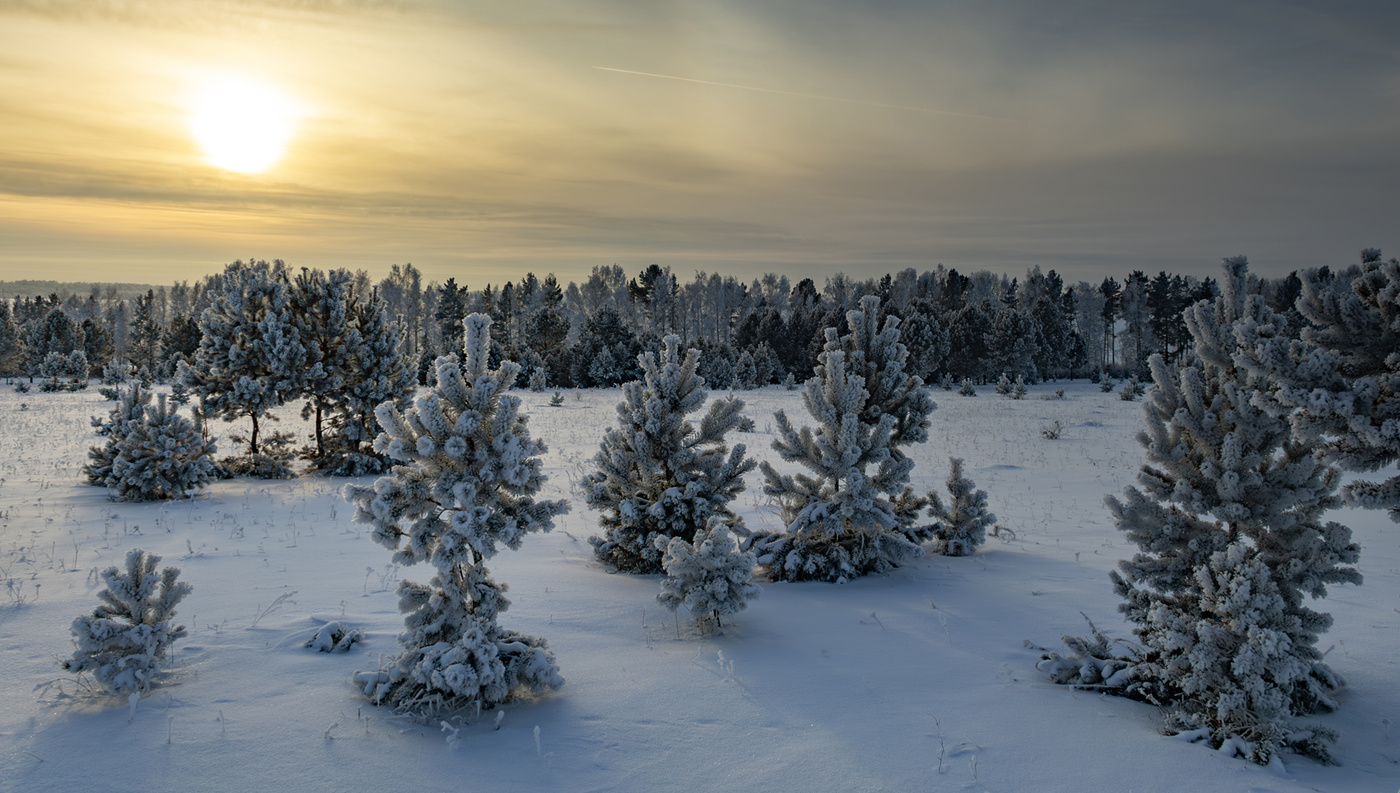 Про прошедшую зиму