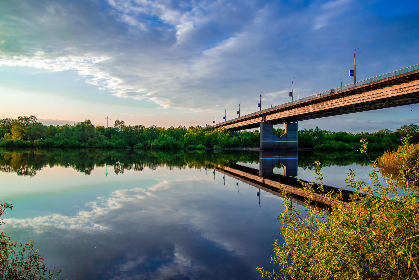 Мост через р.Сож.
