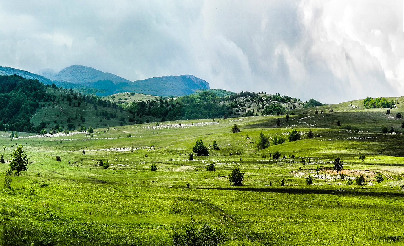 Майский пейзж