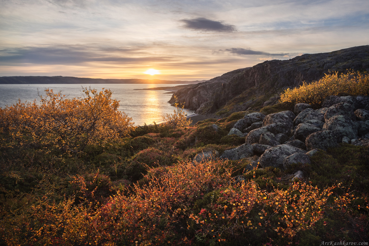 "Золотая осень в Териберке"