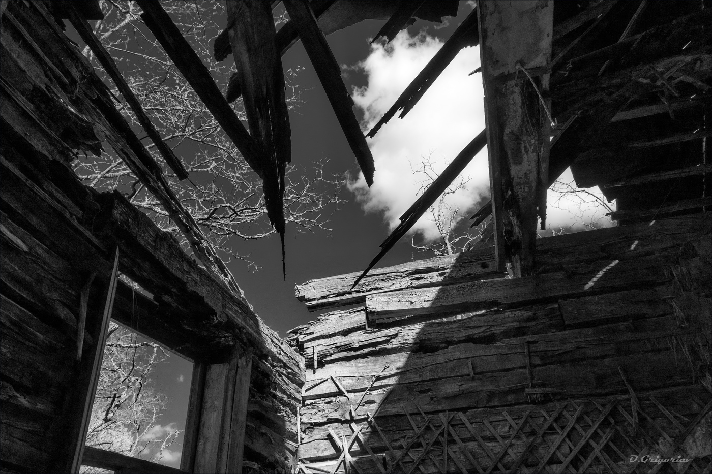 ПОКИНУТЫЕ ГНЁЗДА