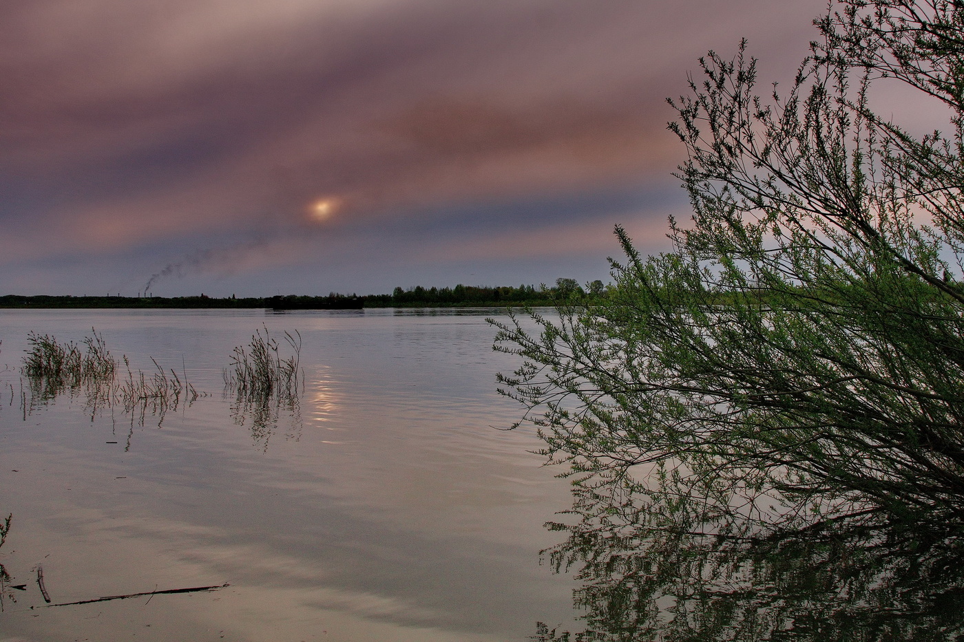 Майским вечером на Томи.