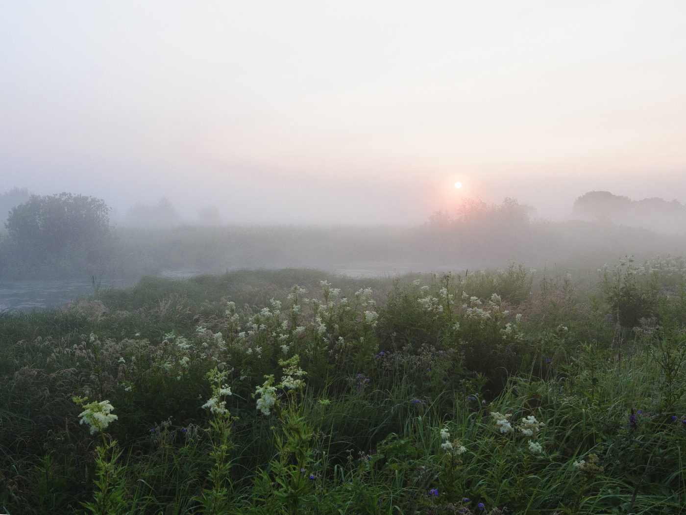 берег Чёрной...