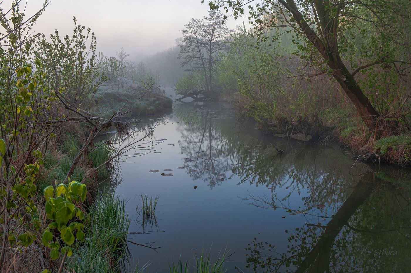 Речка Палец.