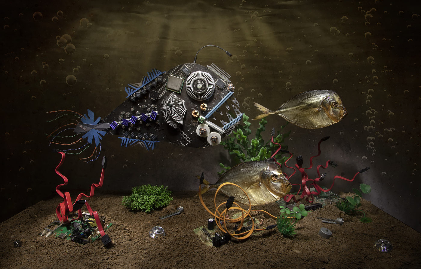 Рыбки бывают разные...