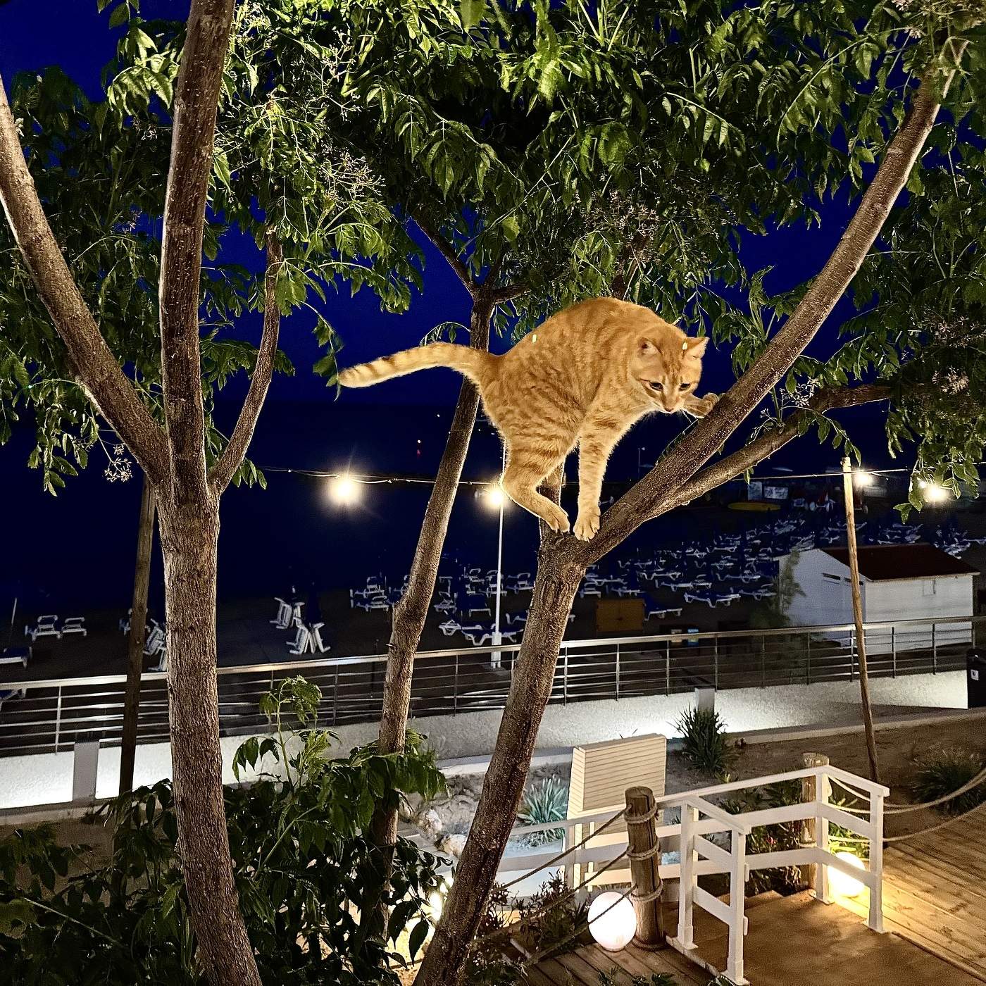 Взгляд сверху