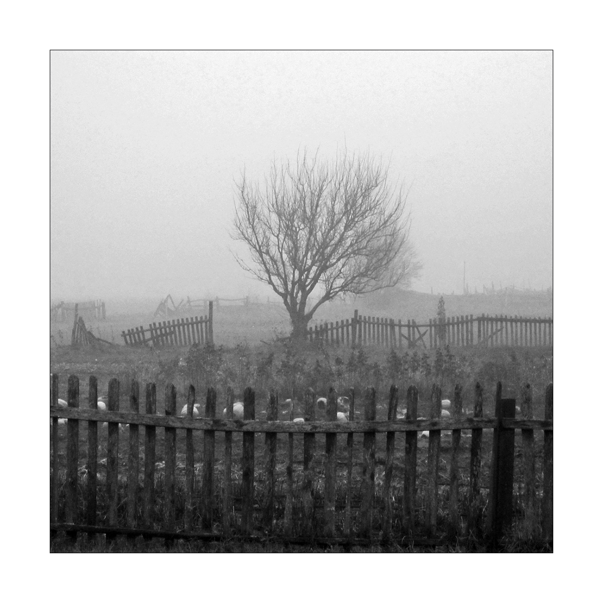 полный хэллоуин...