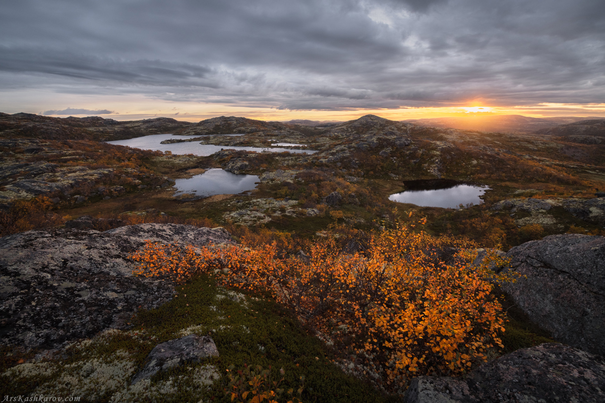 "Полярное утро"