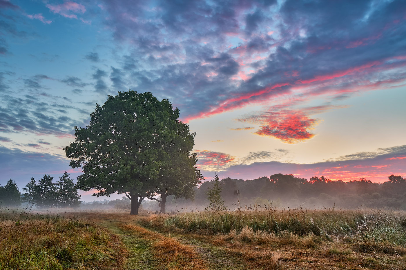 Утро на Березине