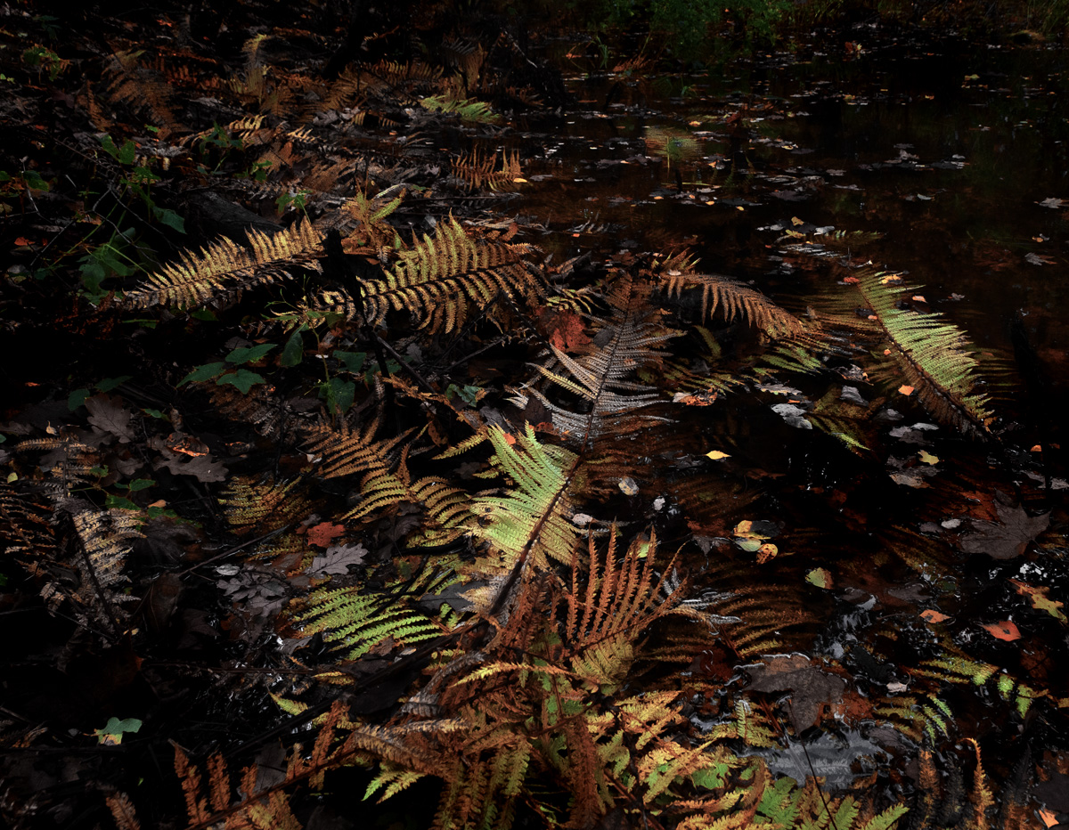 Осеннее настроение 3