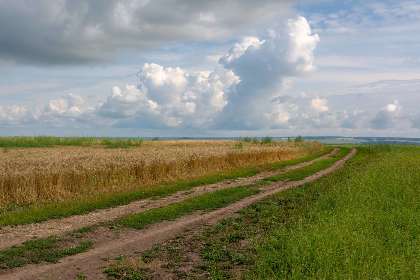 летний день