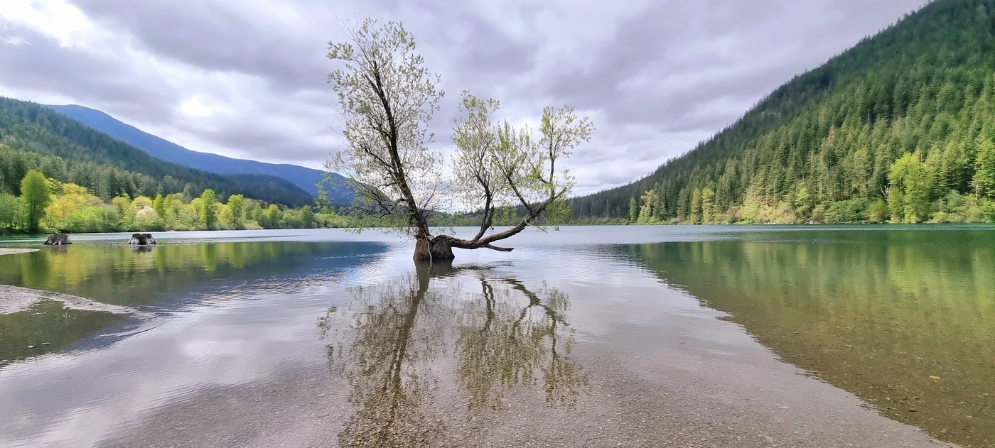 Одиночество...