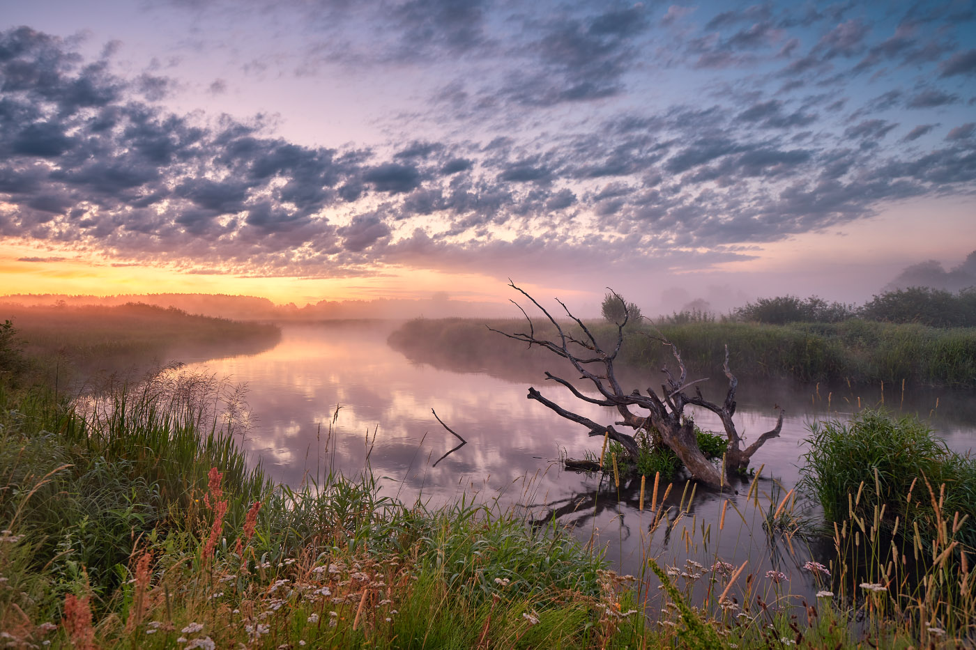 Нёман. Июльское утро 2020-го