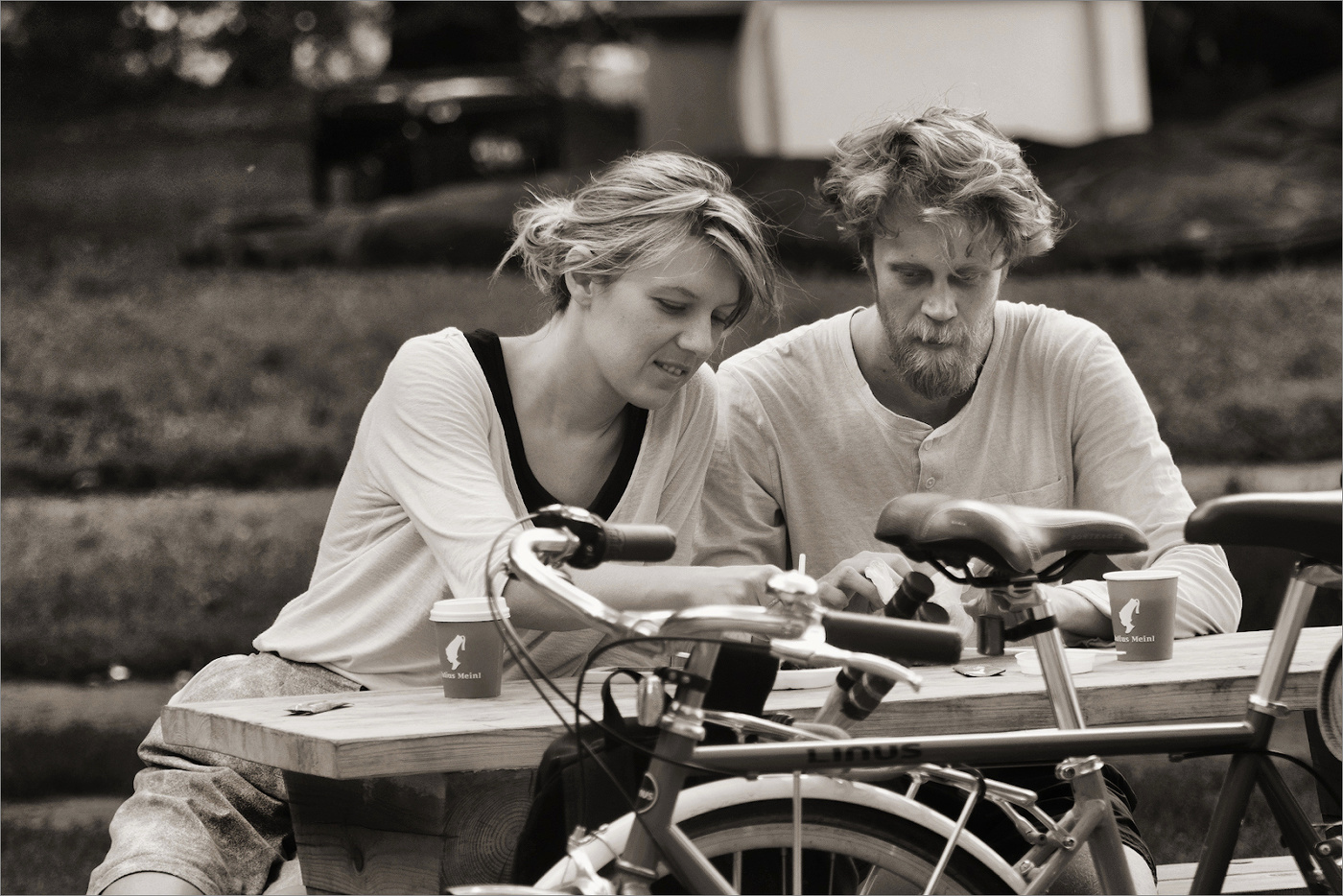 Велосипедисты...