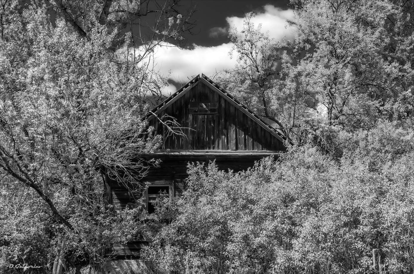 В ТЕНИ ПРОШЛОГО