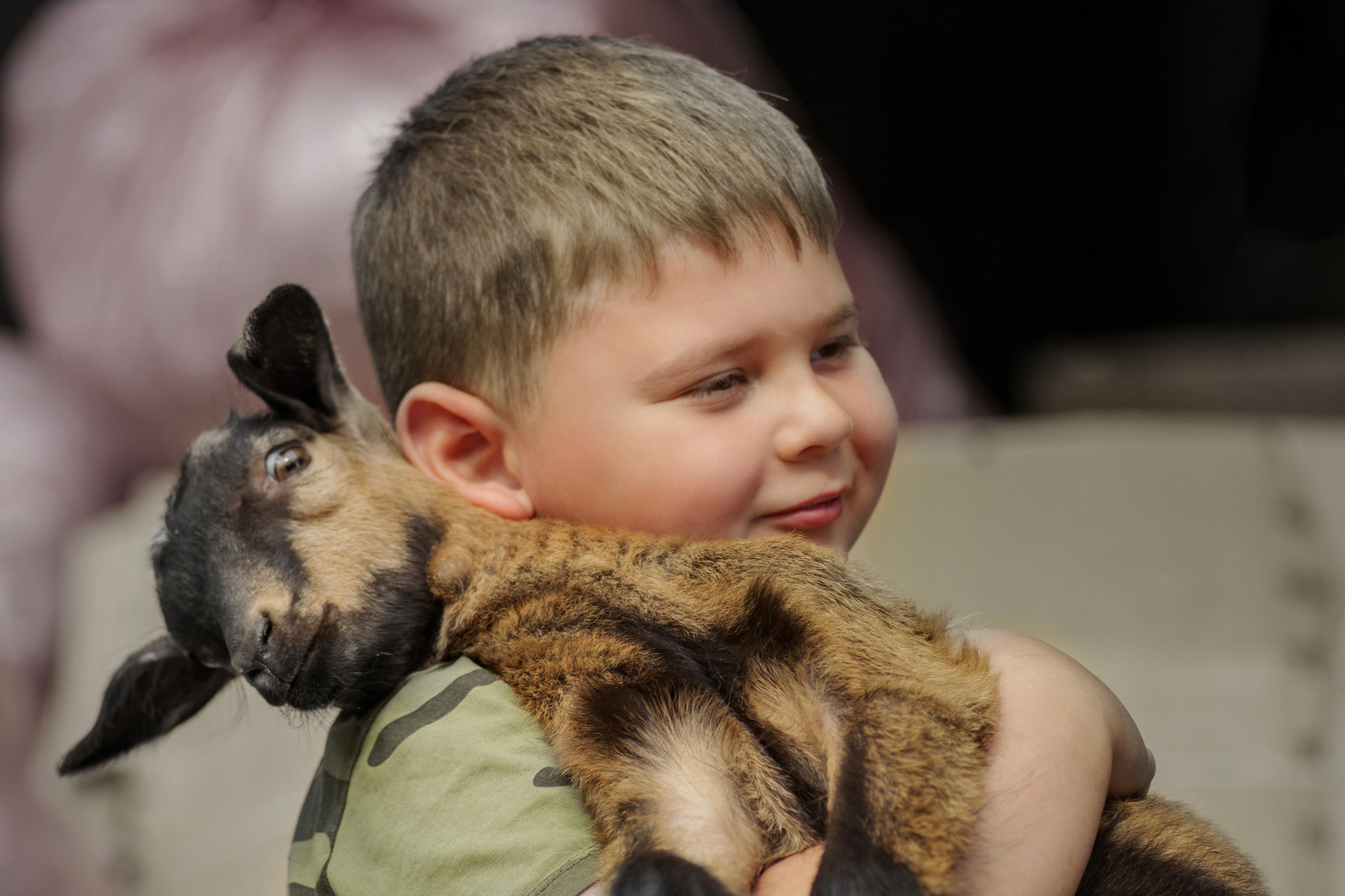 Коза и Степа