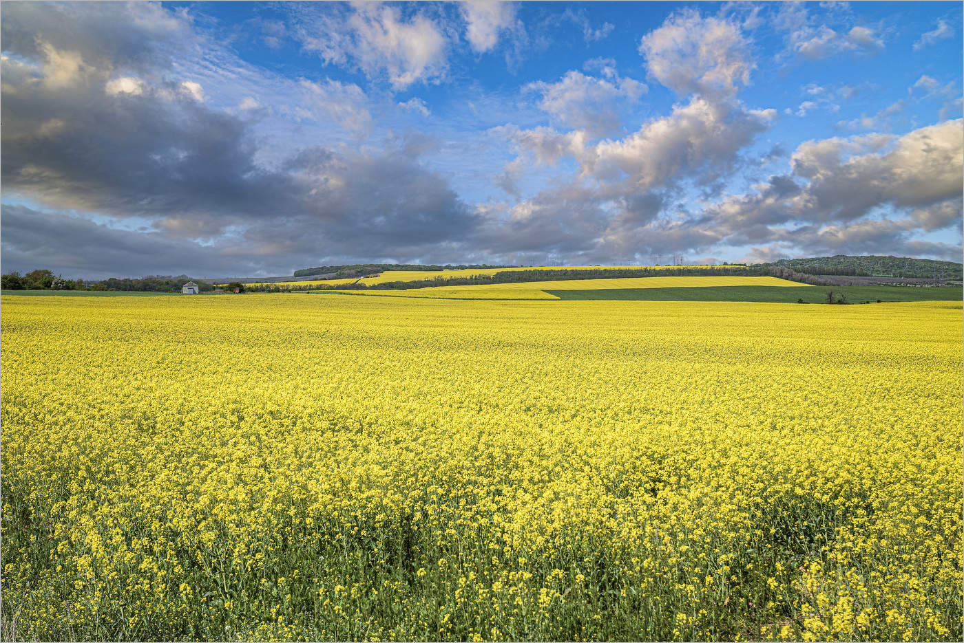 Обласканное солнцем