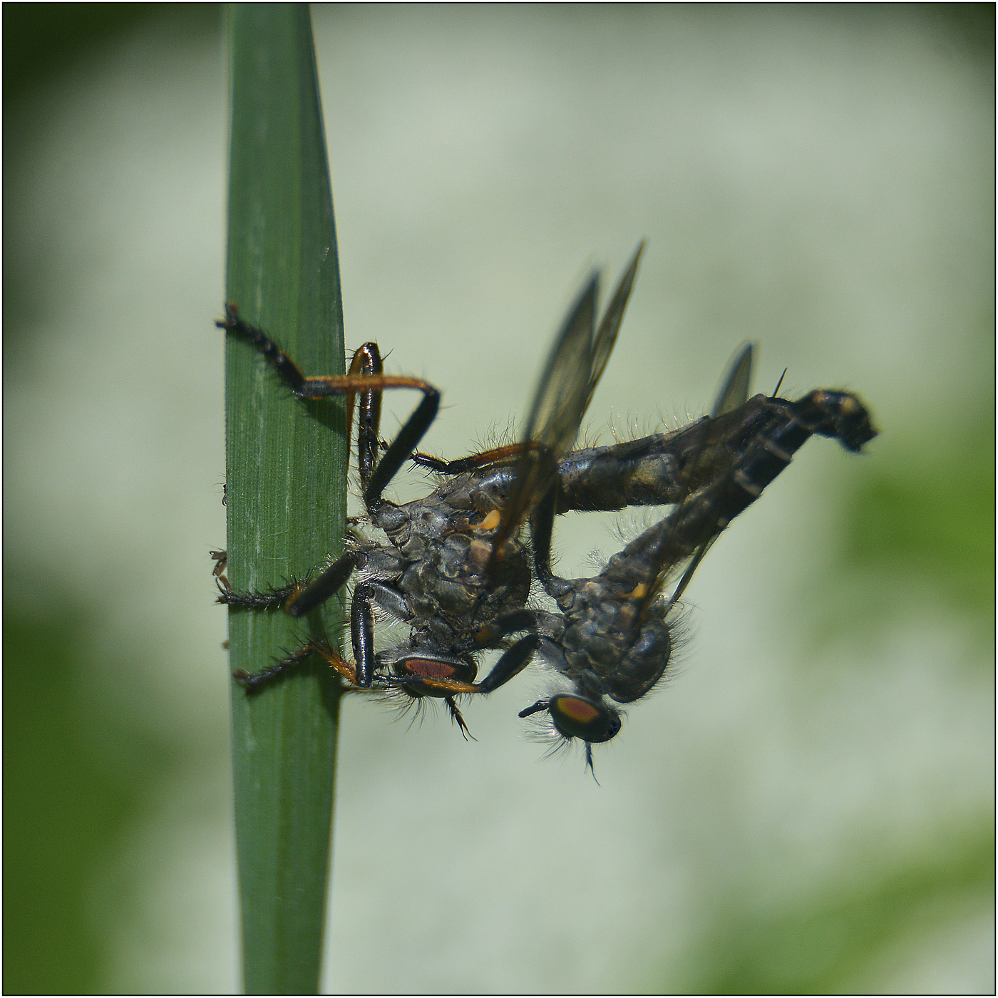 Напряжение.