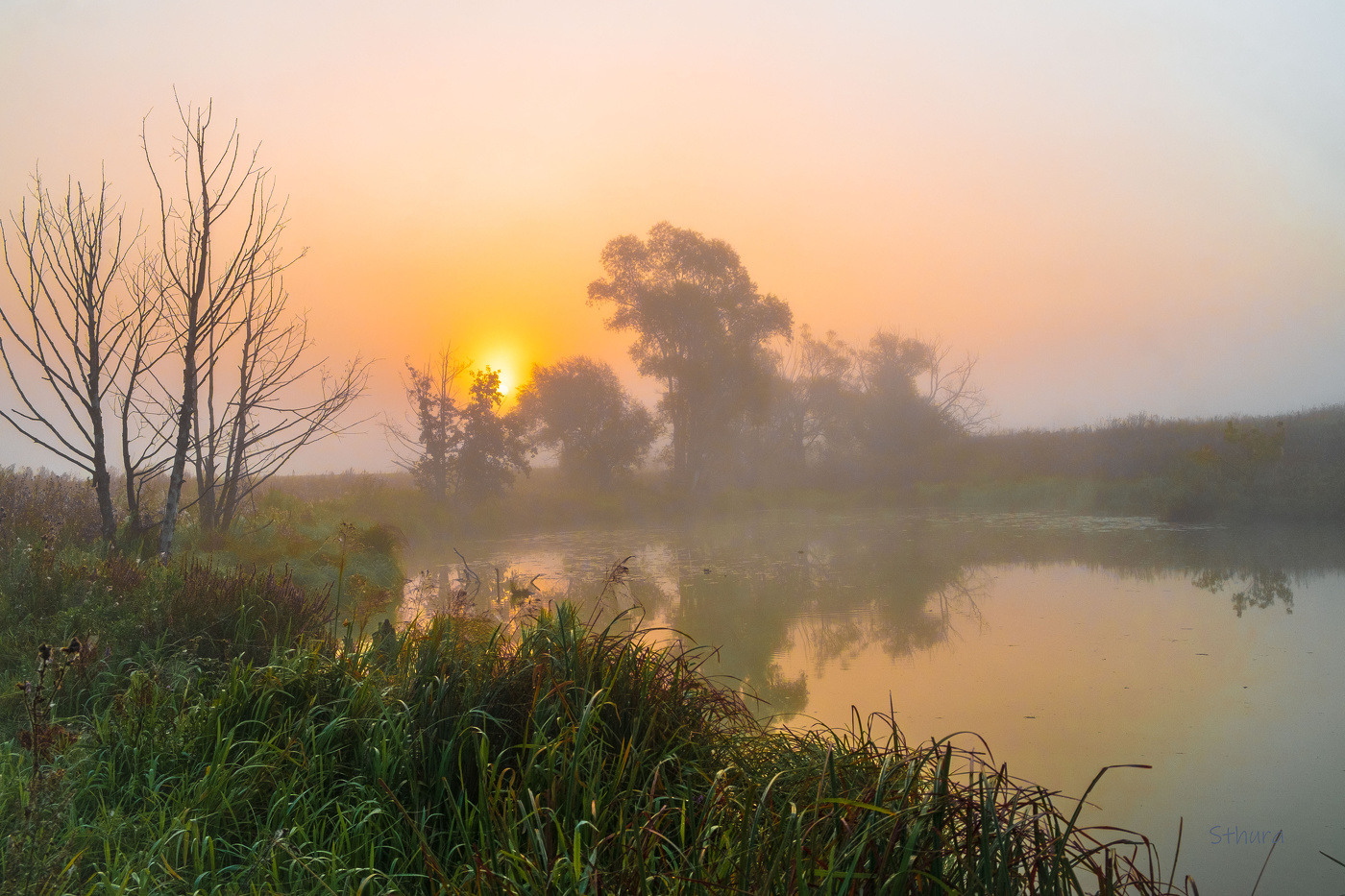Утренний туман.