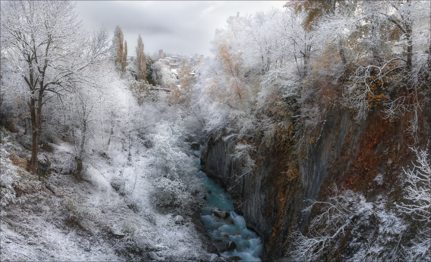Серебряные ветви