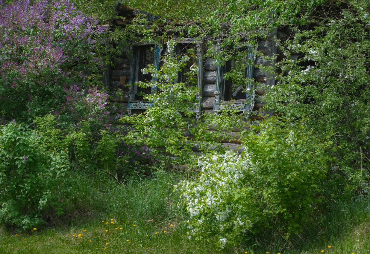 Жизнь продолжается