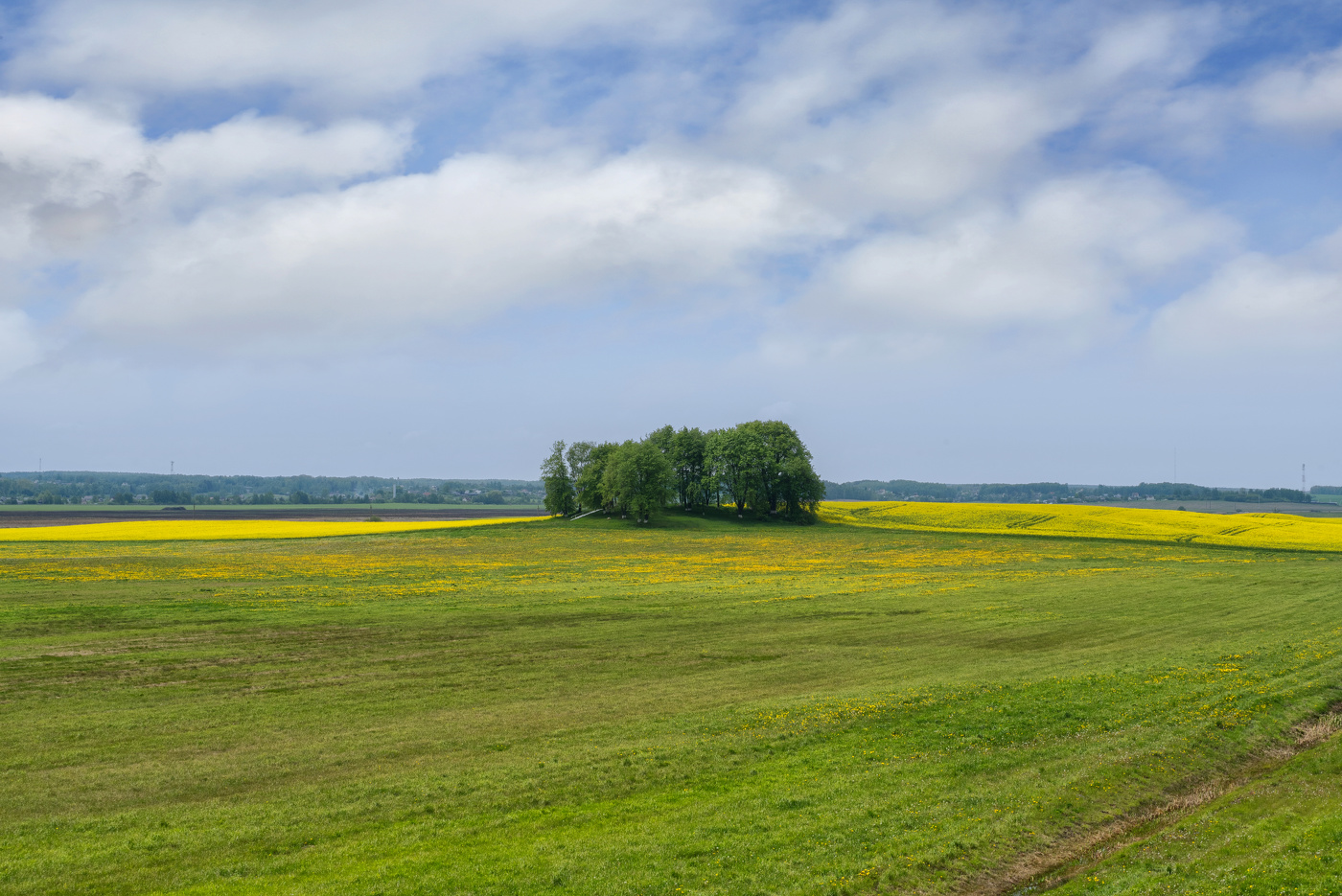 Пригородные пейзажи
