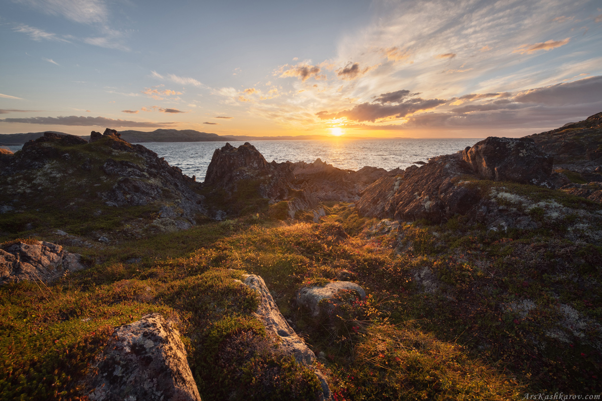 "Берег Баренцева Моря"