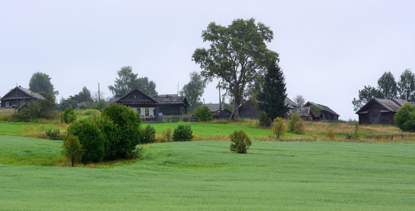 "Родная деревенька, резных окошек свет ..."
