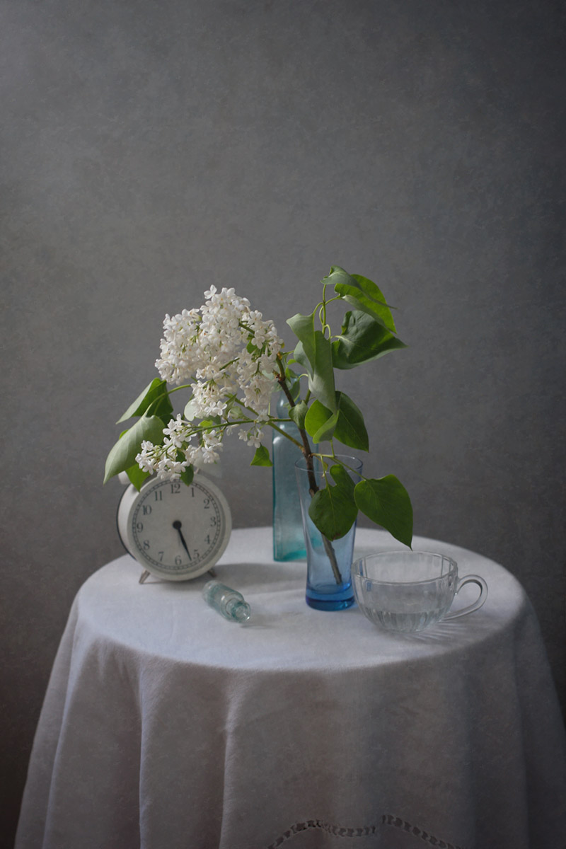 Белая сирень...