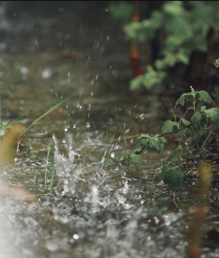 **настроение дождь!