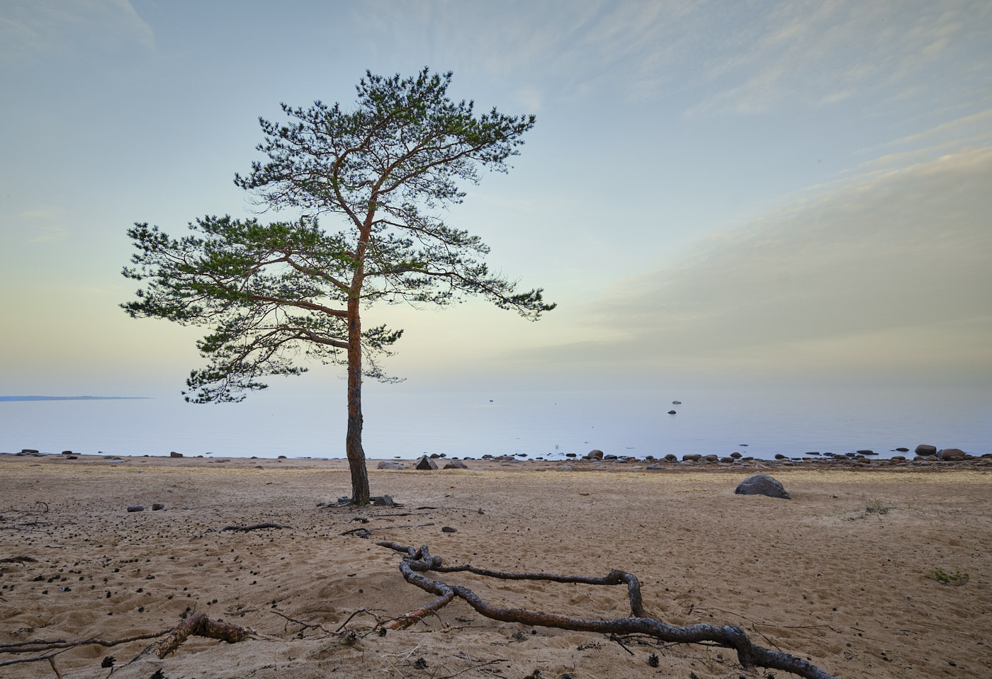 Южный берег