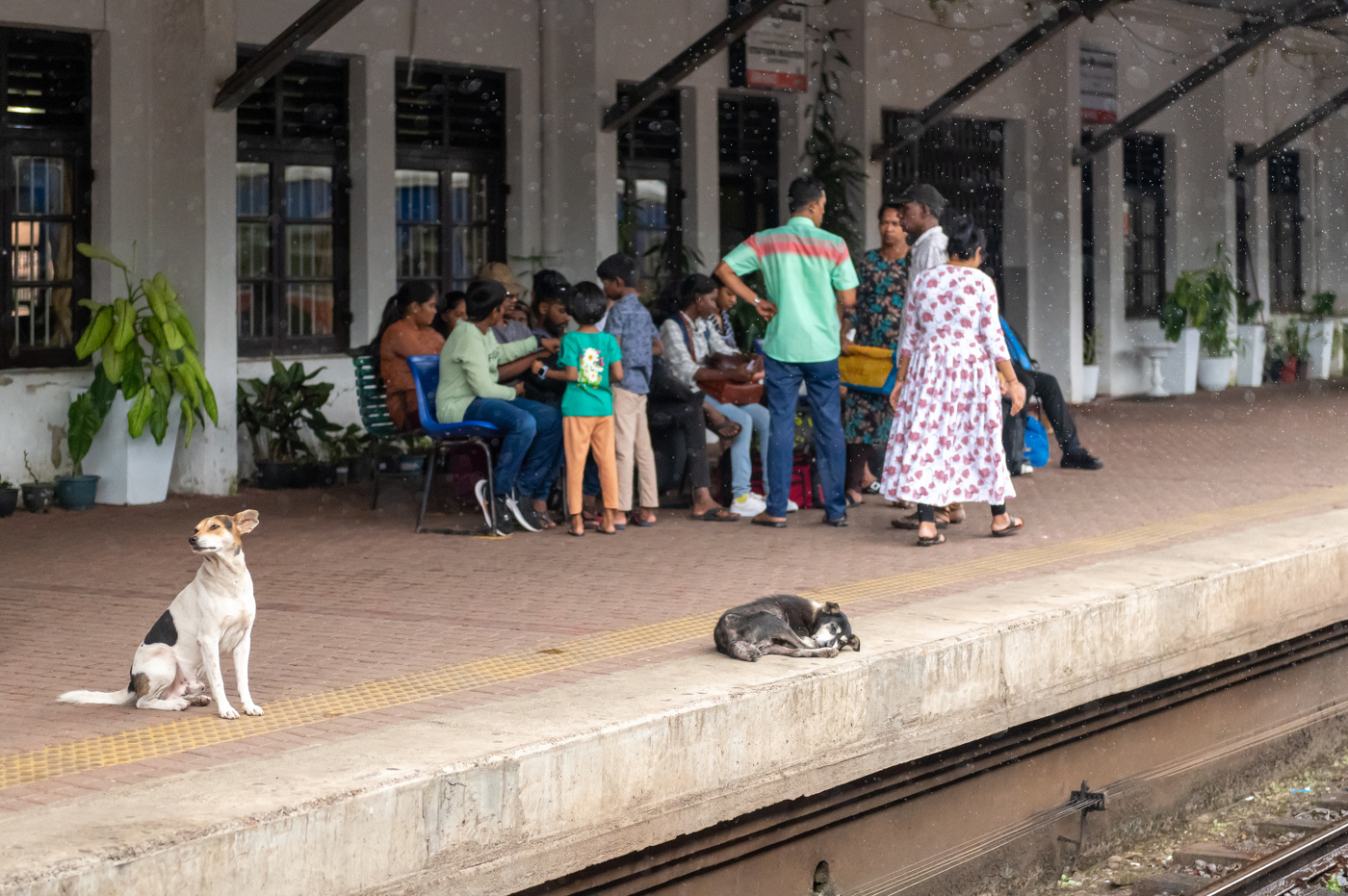 Привязанность