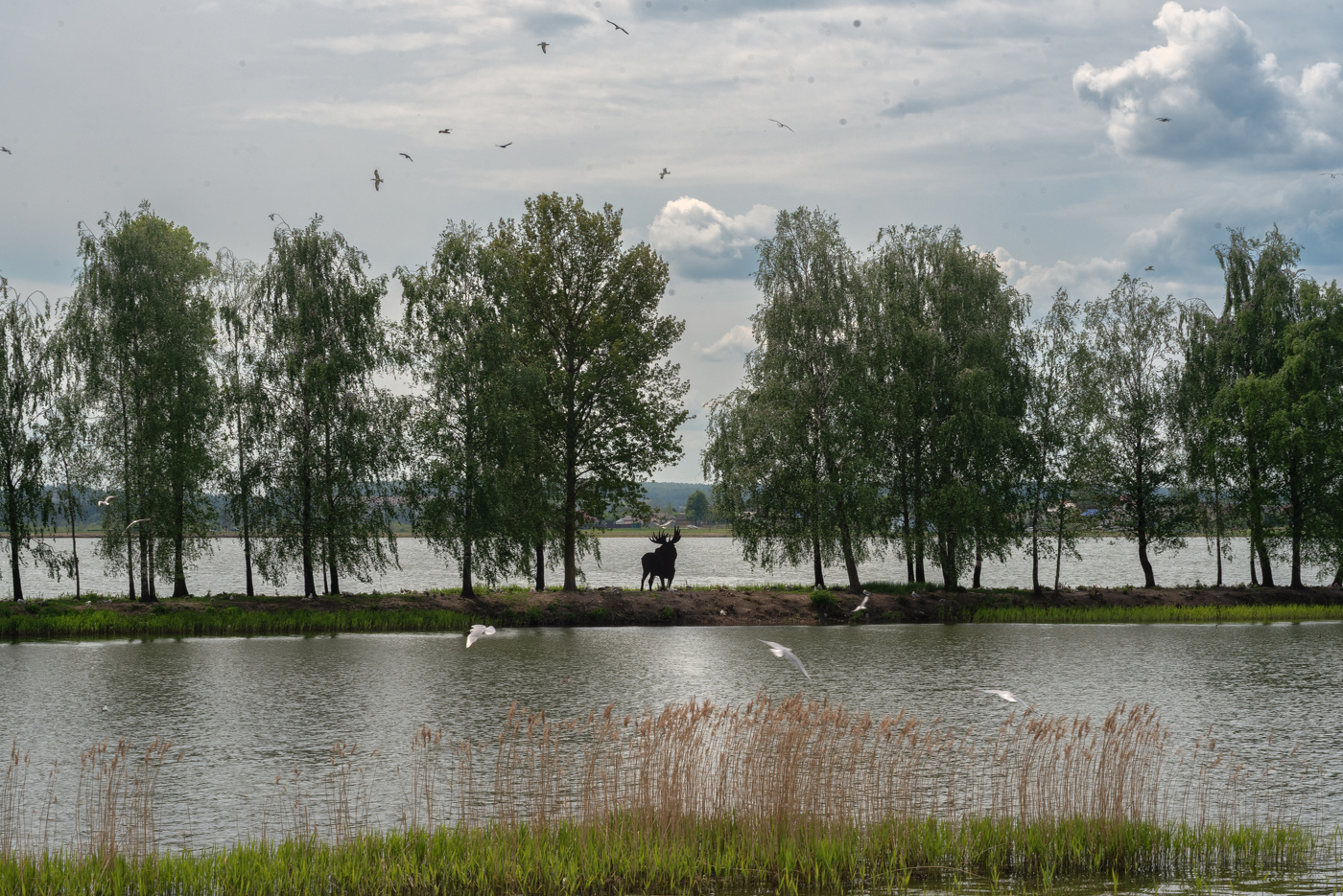 Май на озерных полуостровах