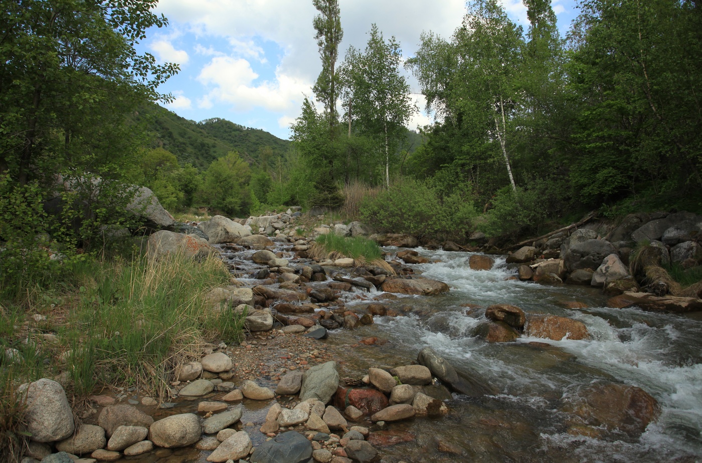 Майский вечер