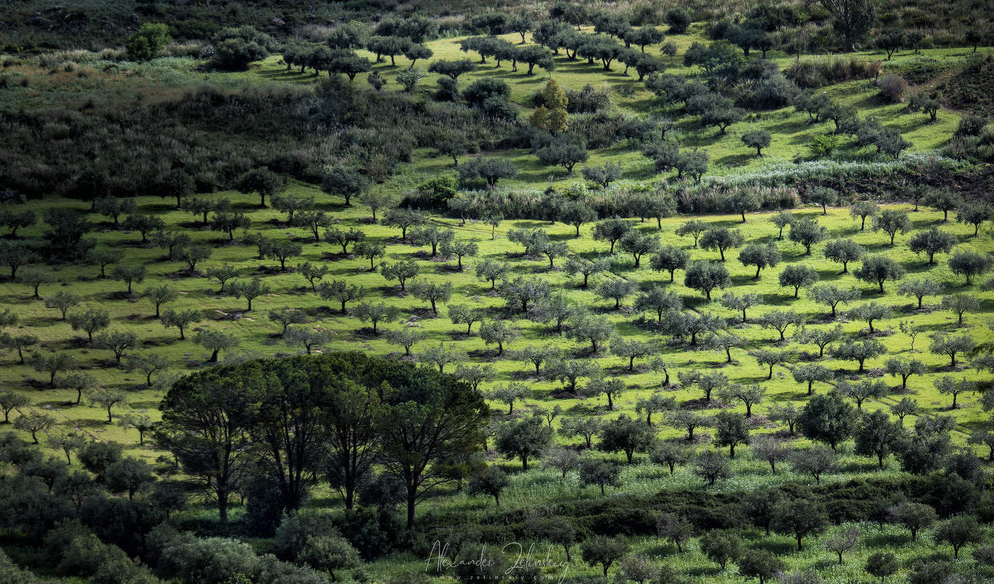 Весенние холмы