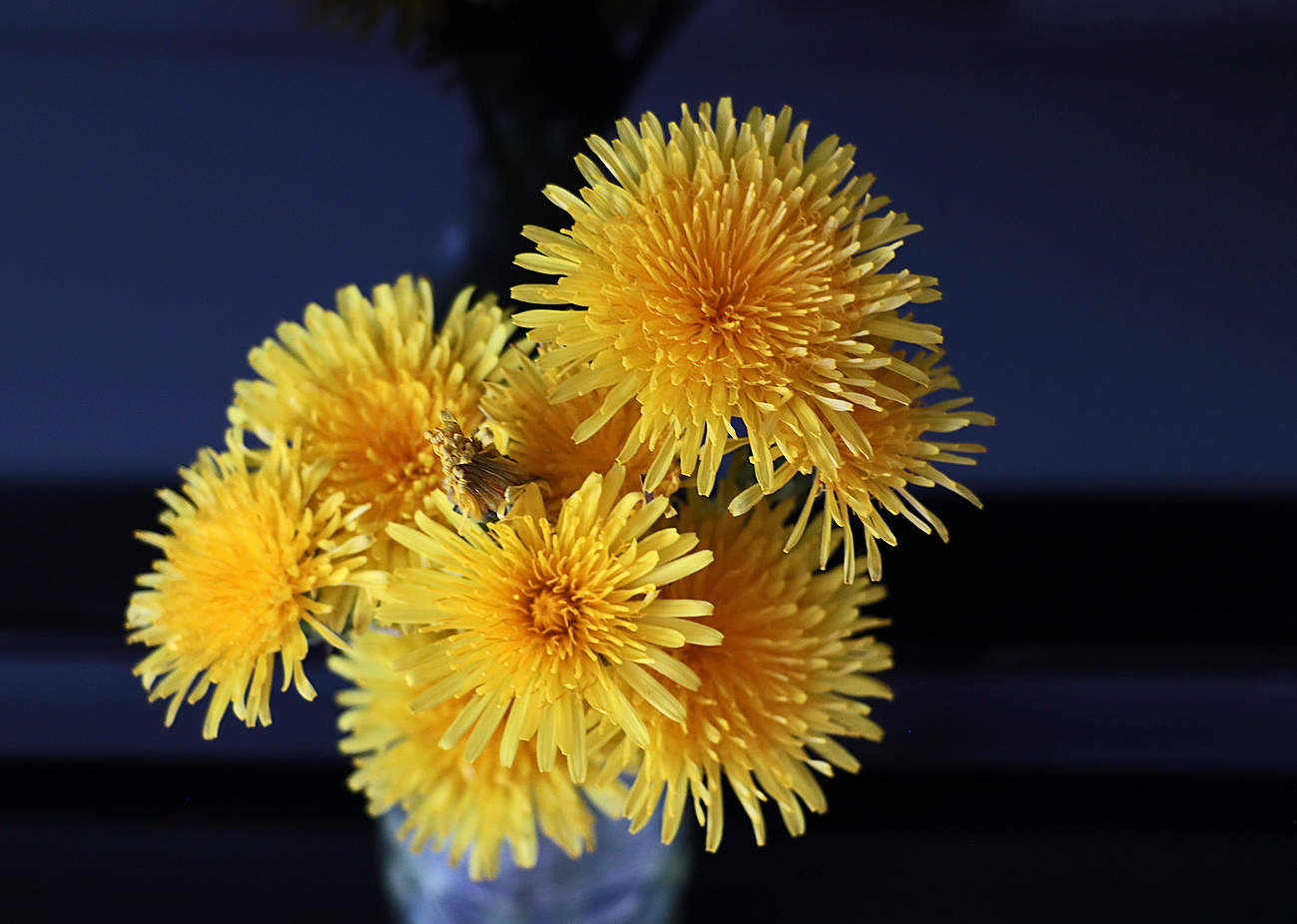 Солнышко в доме