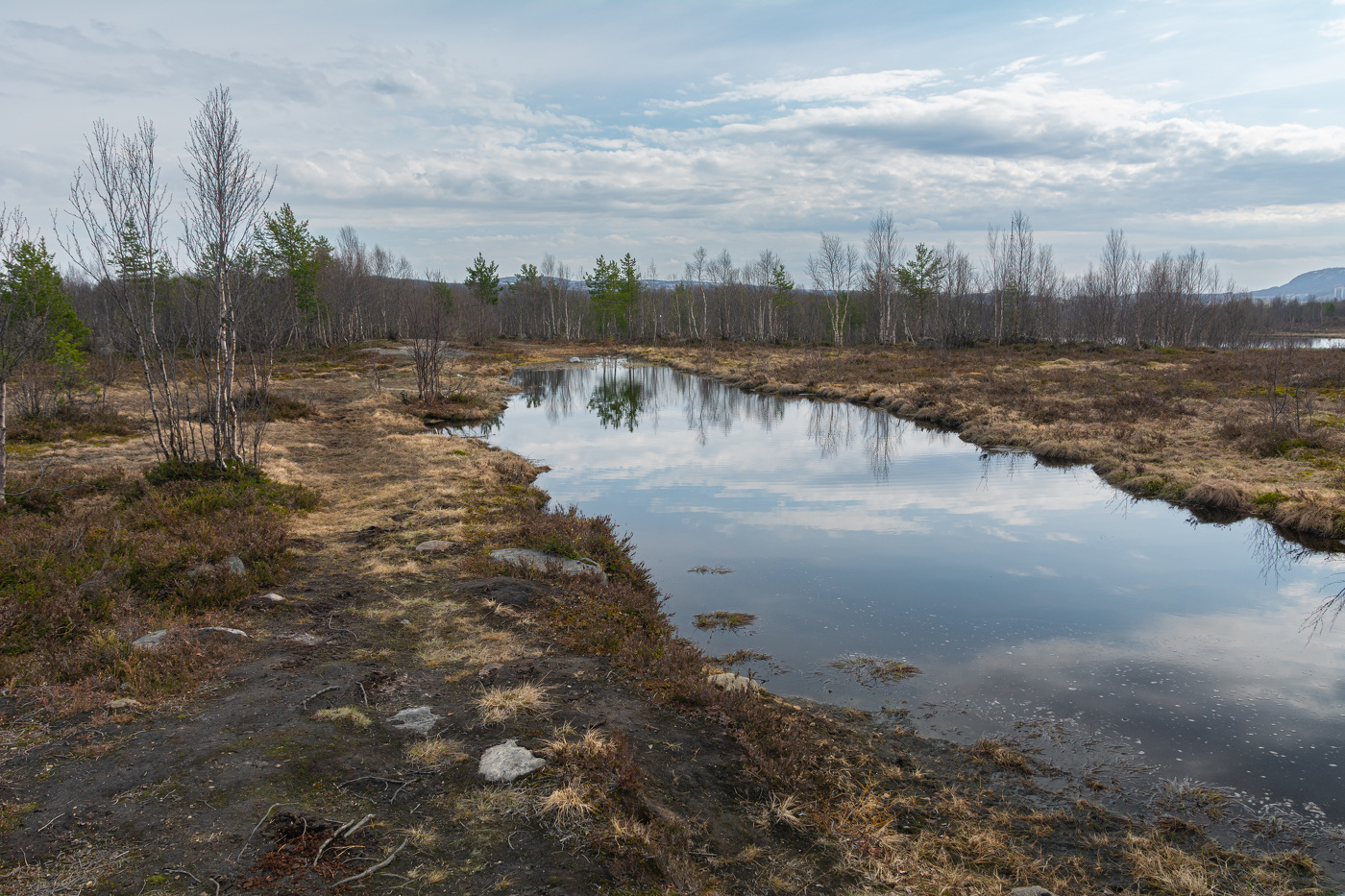майский пейзаж