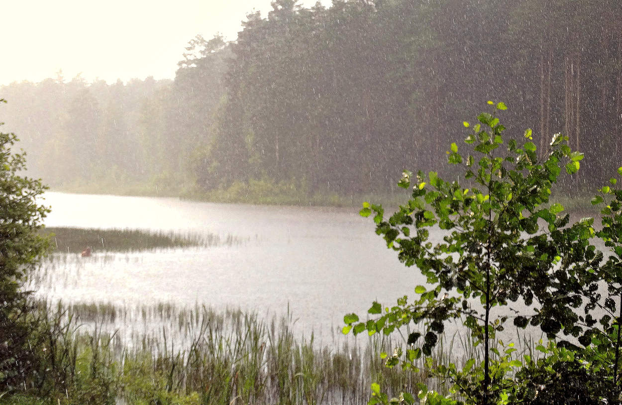 Тёплый вечерний дождь
