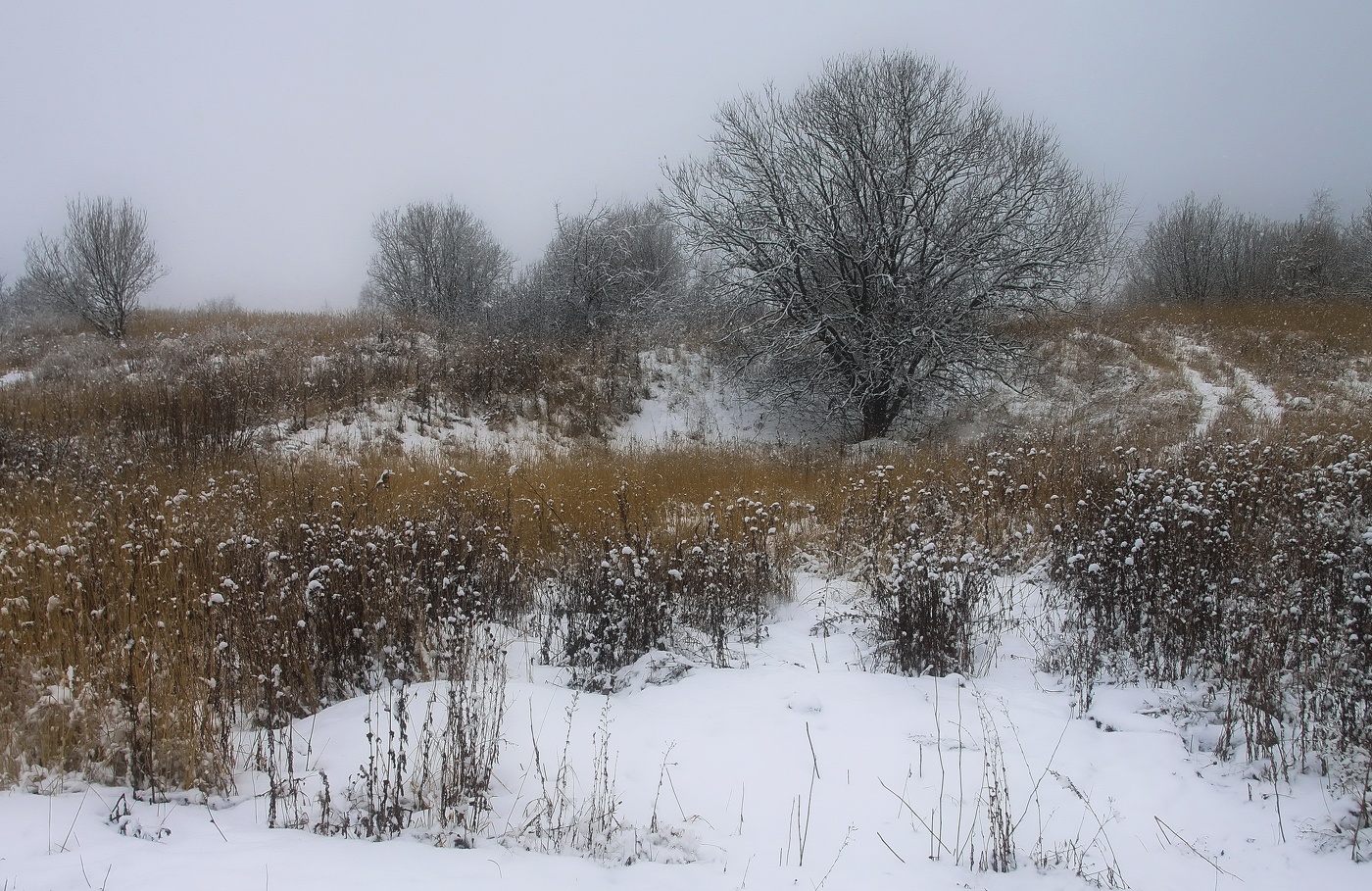 Март в угодьях Подмосковья