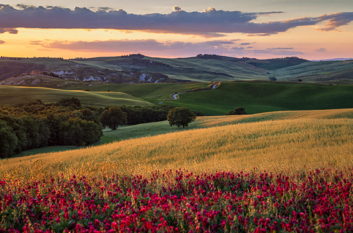 Майский пейзаж