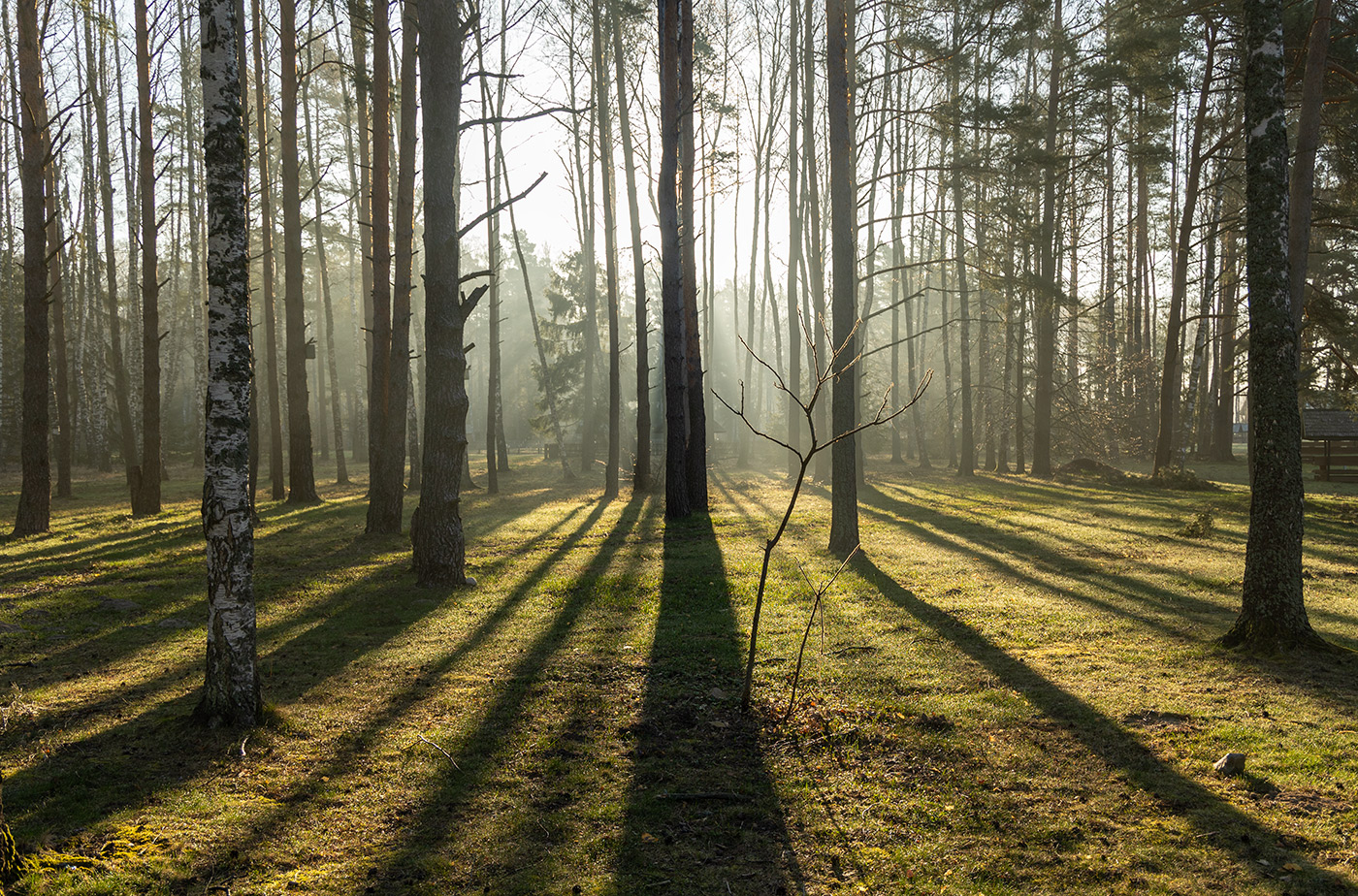 Расстановка фигур