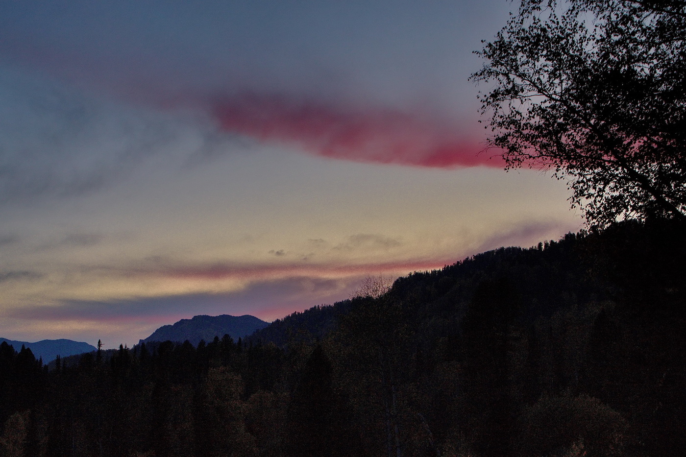 **Краски рассвета.*