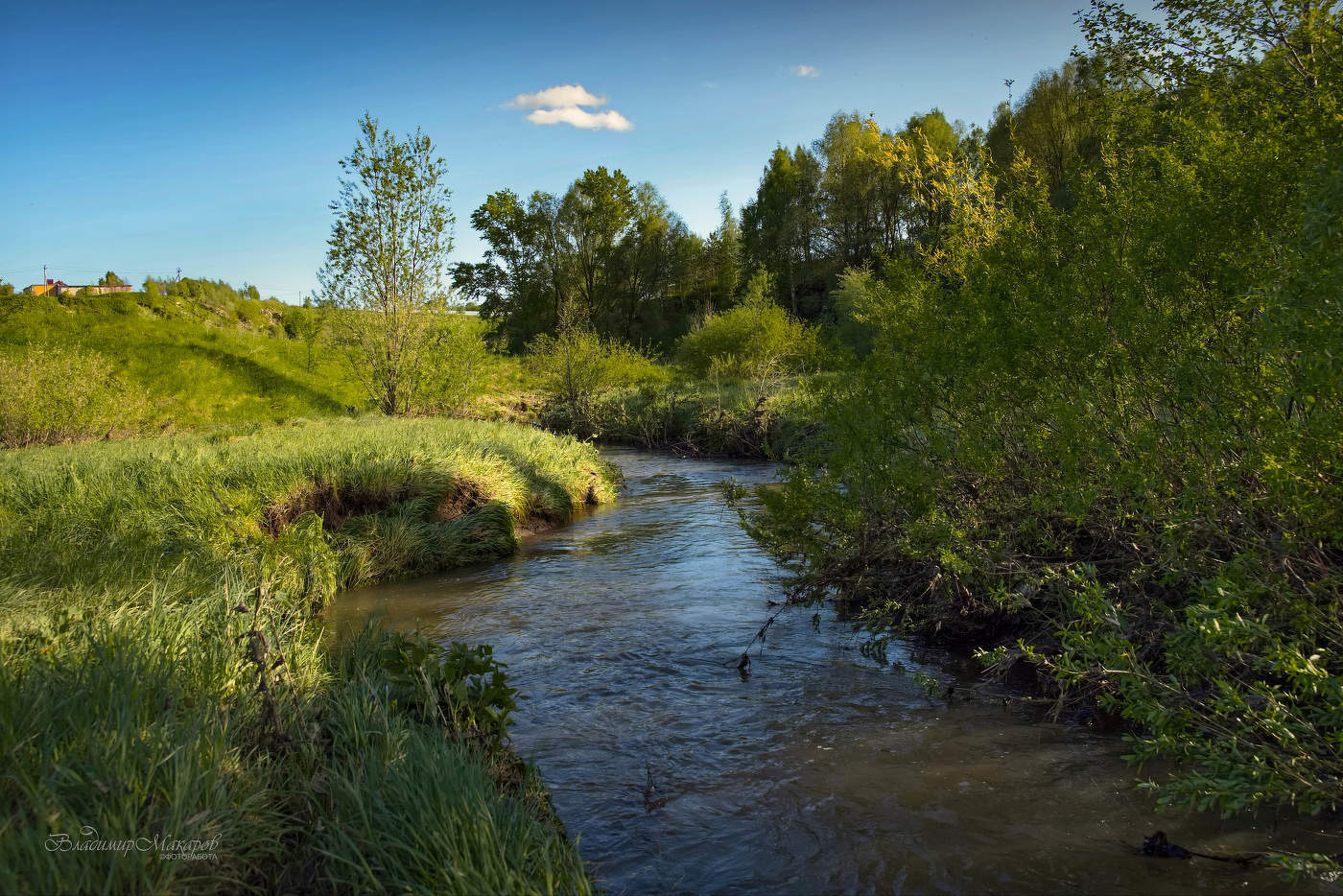 У извилистой речки в конце мая©
